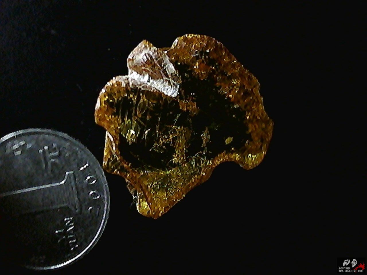 20101026001725.jpg