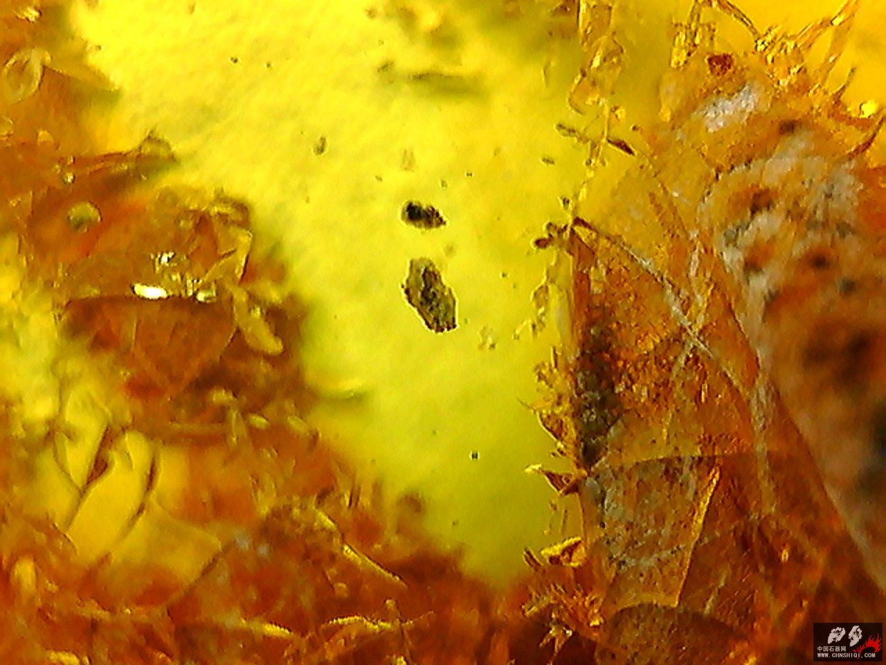 20101026002559.jpg