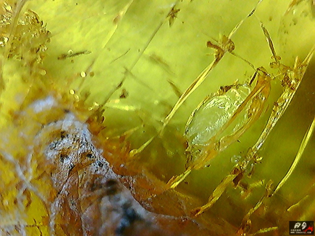 20101026002611.jpg