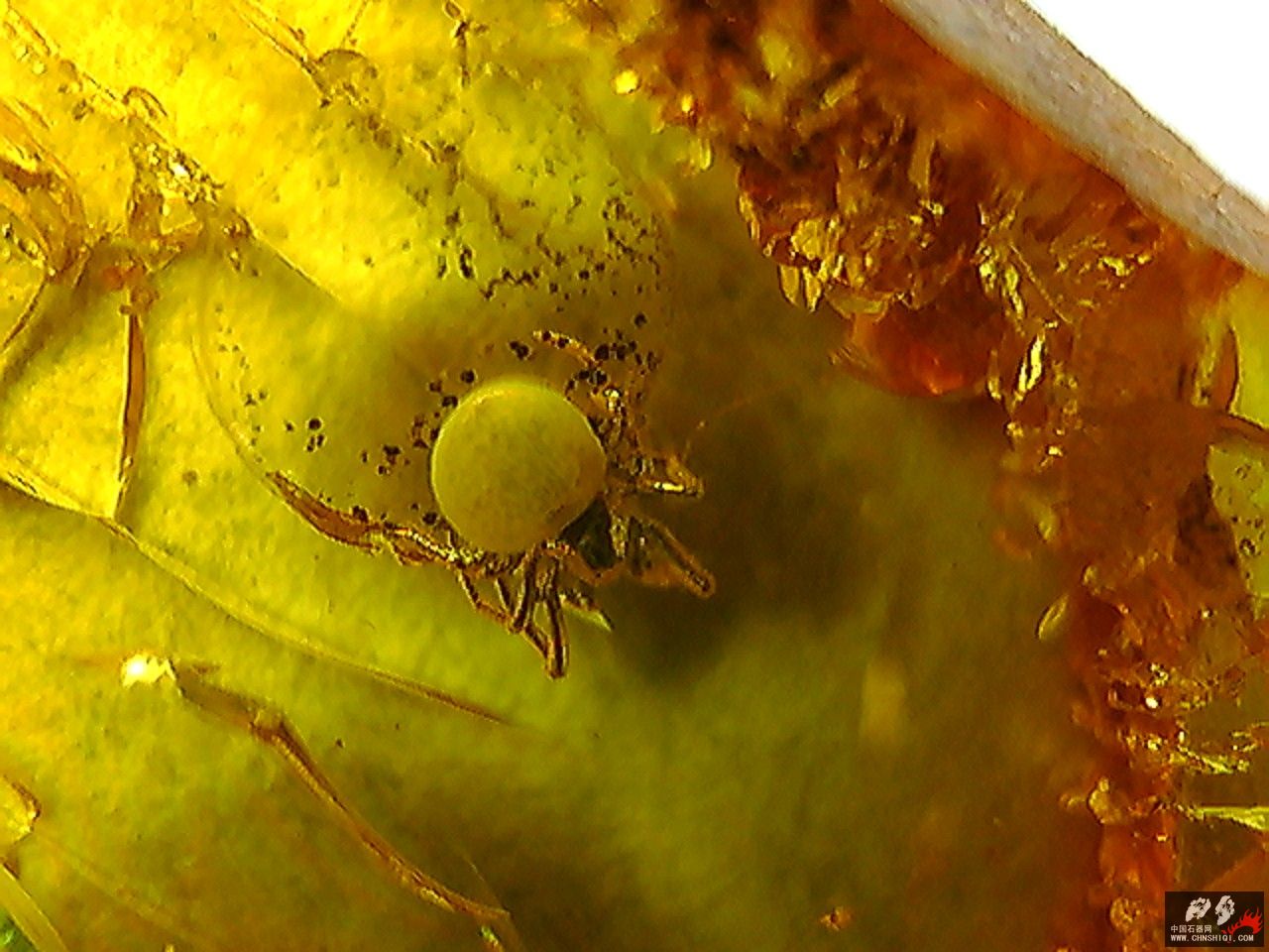 20101026002208.jpg
