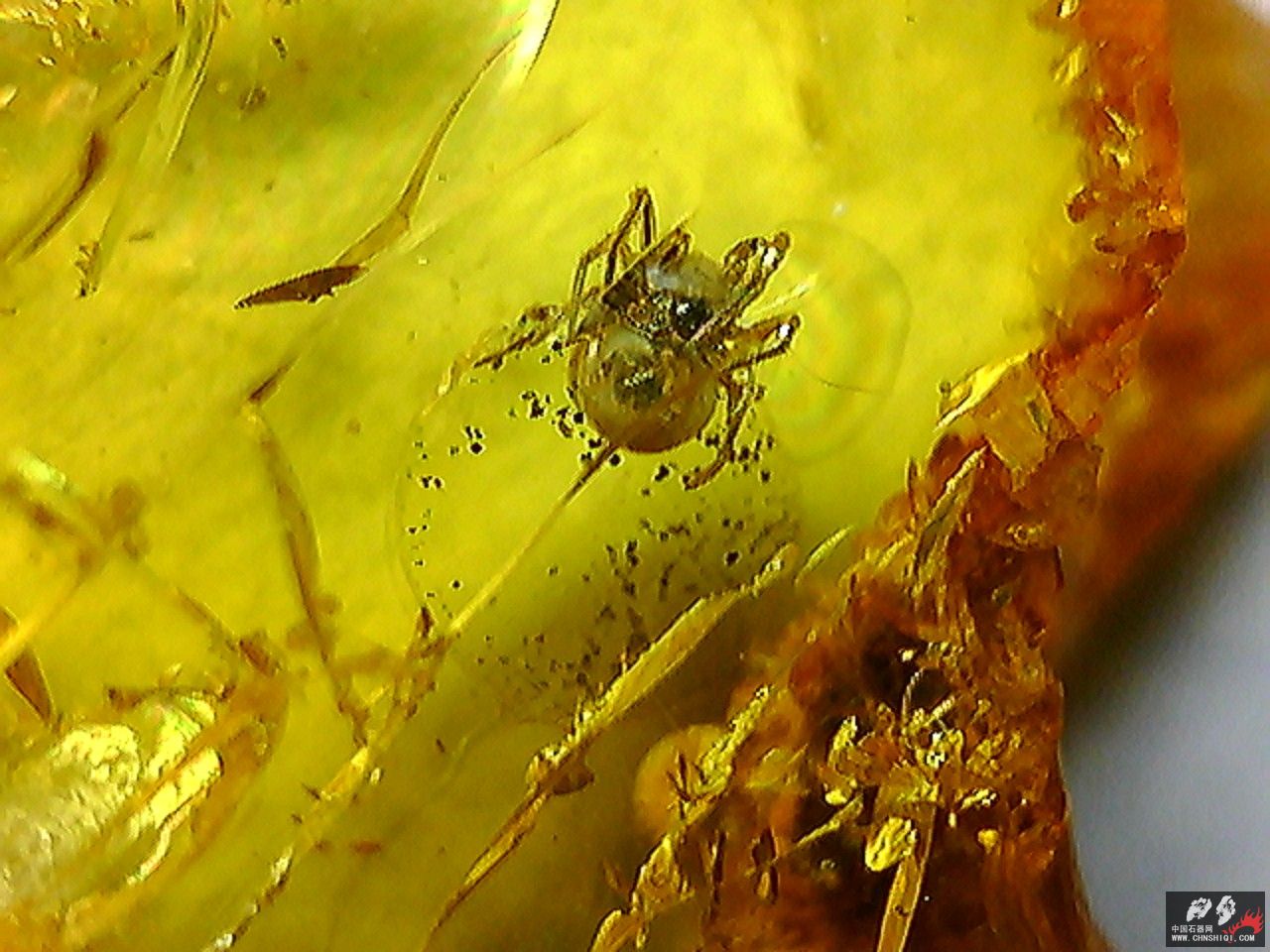 20101026002438.jpg