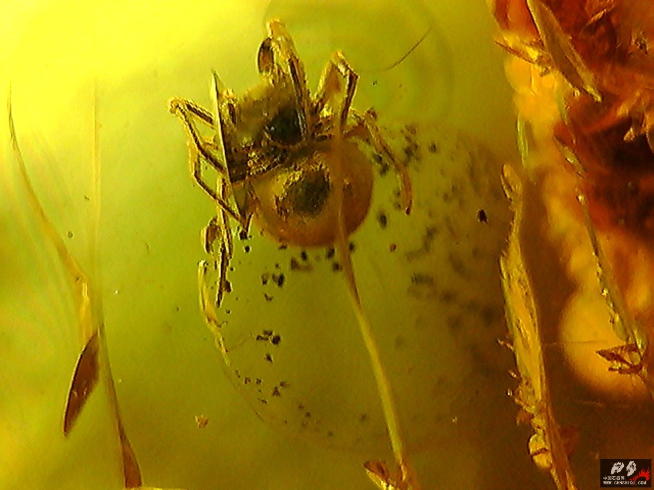 20101026003122.jpg