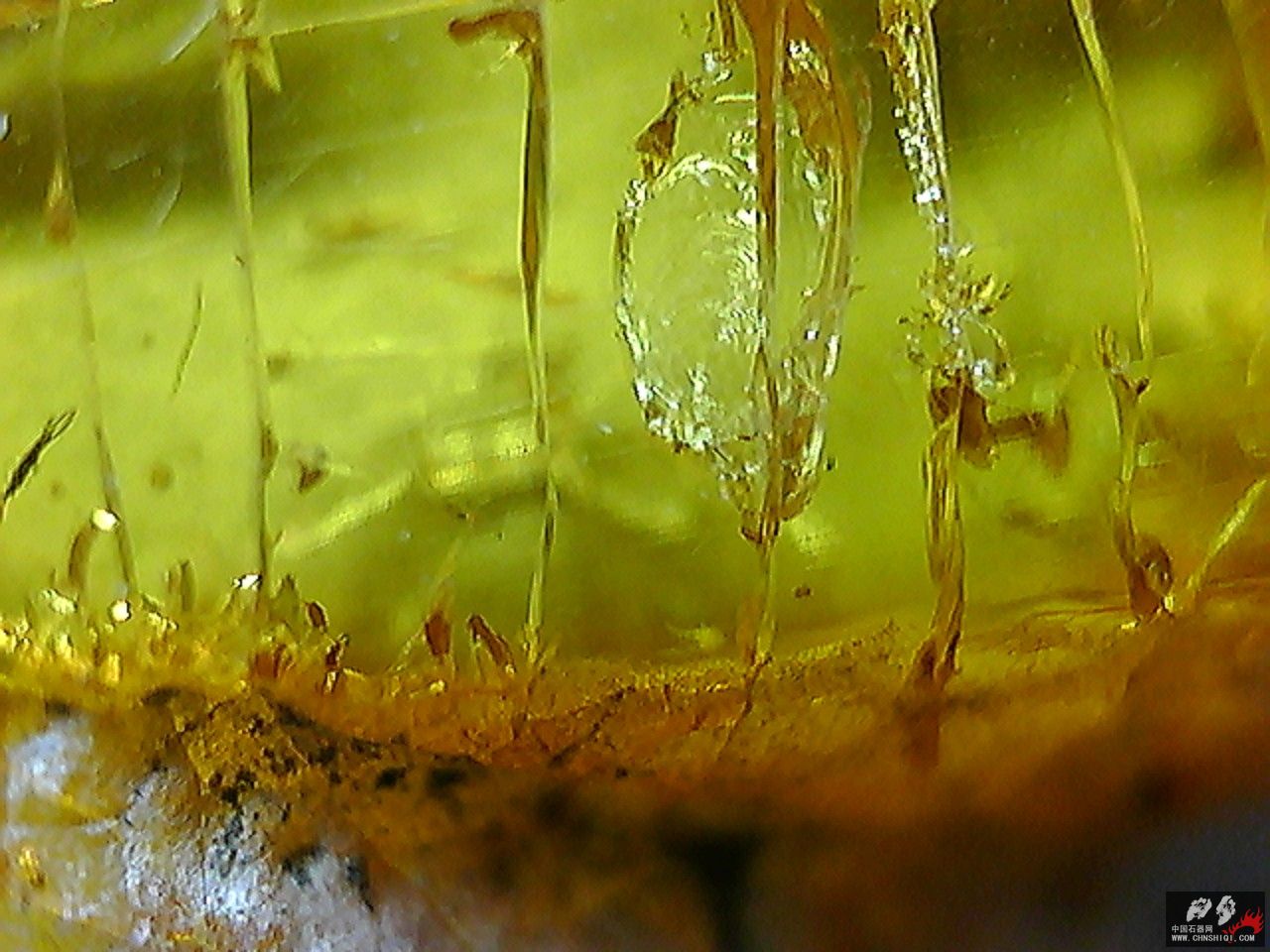 20101026002811.jpg
