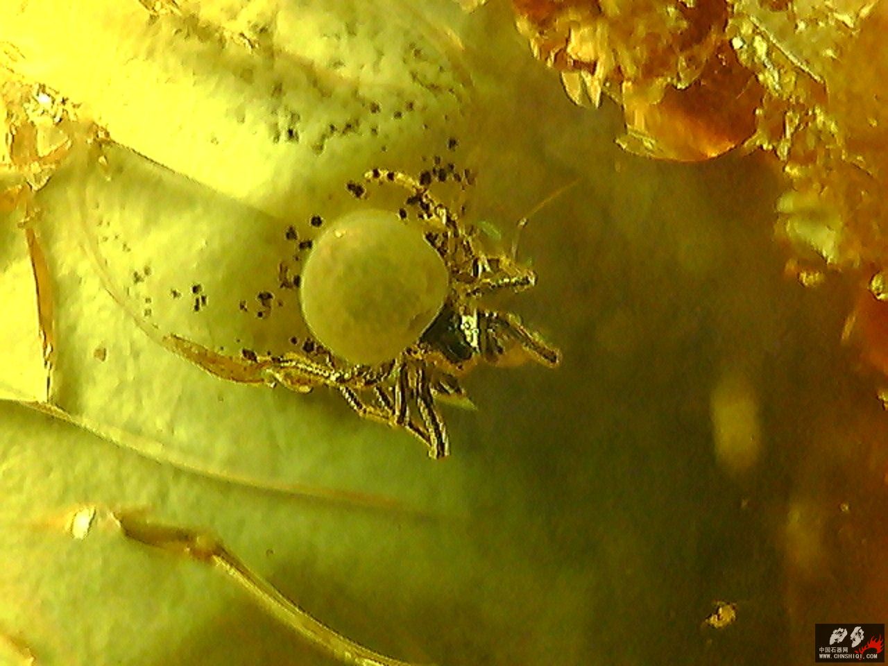 20101026004619.jpg