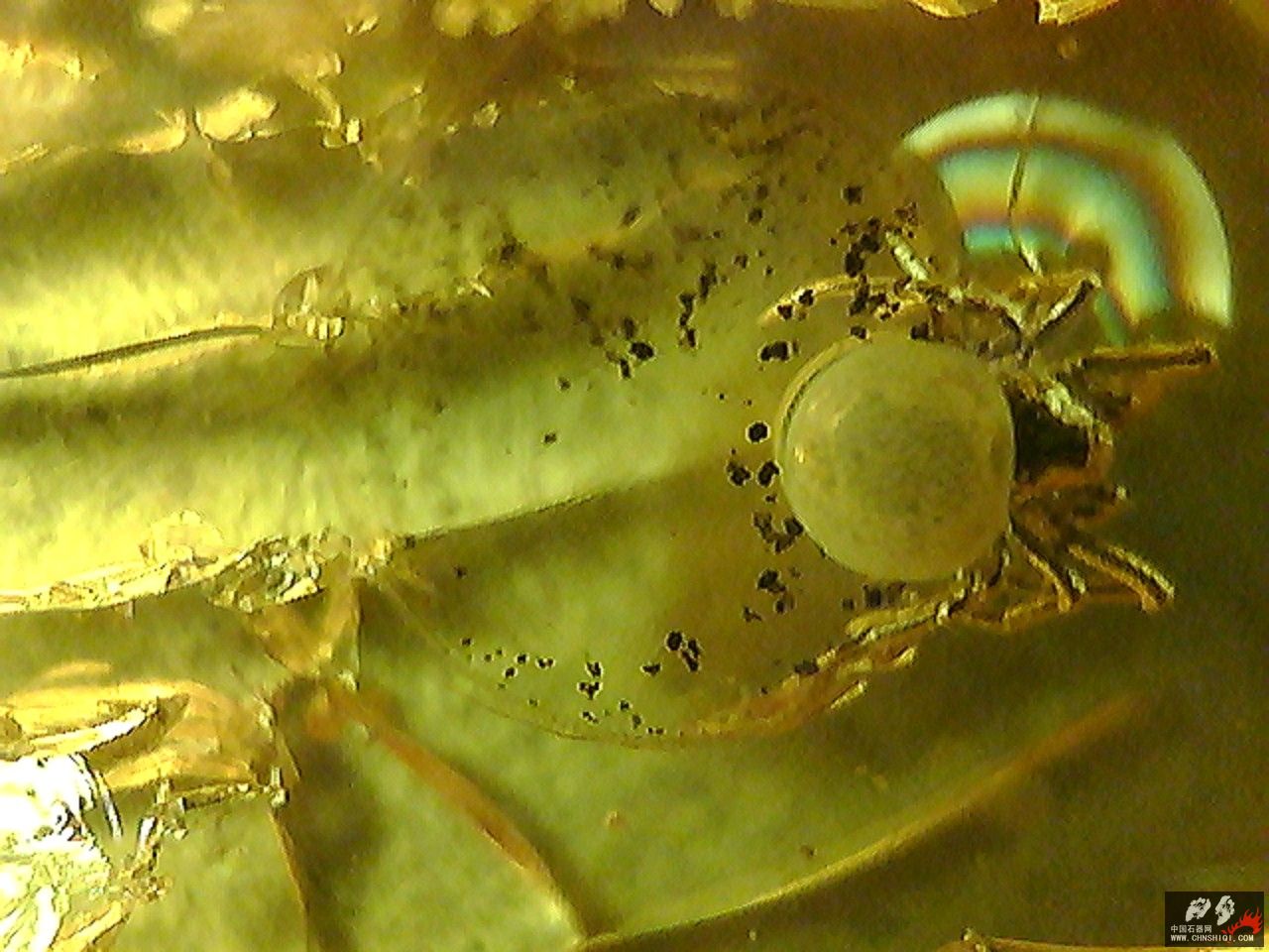20101026005210.jpg