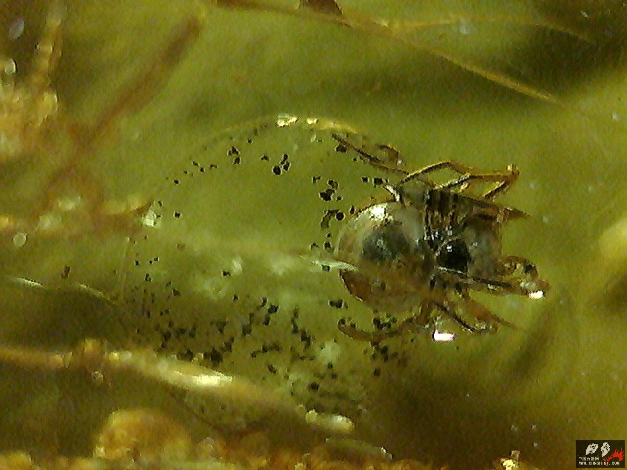20101026005653.jpg