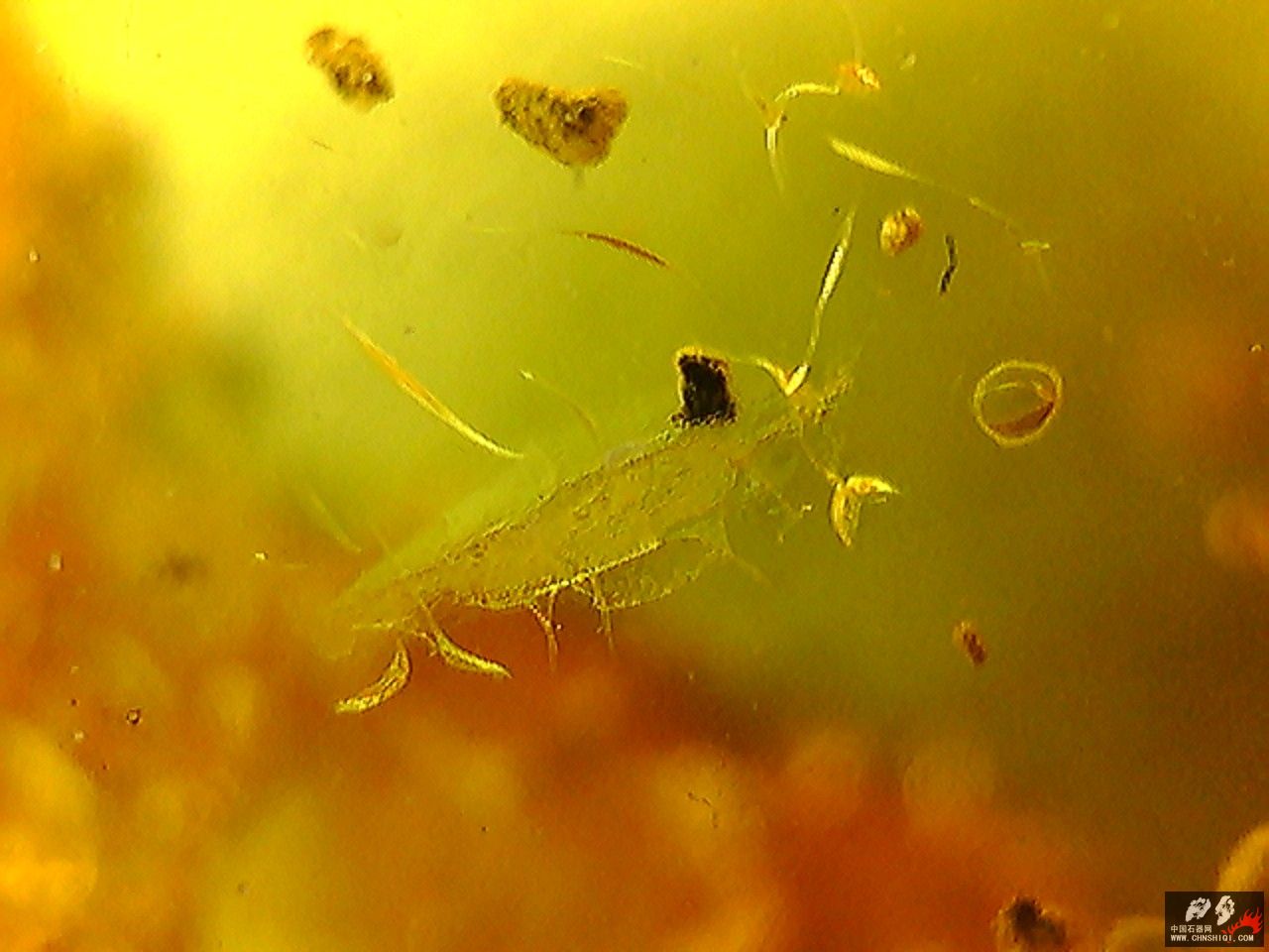 20101026003218.jpg