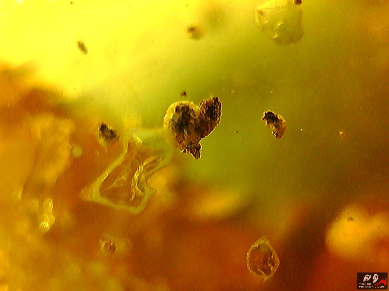 20101026003257.jpg