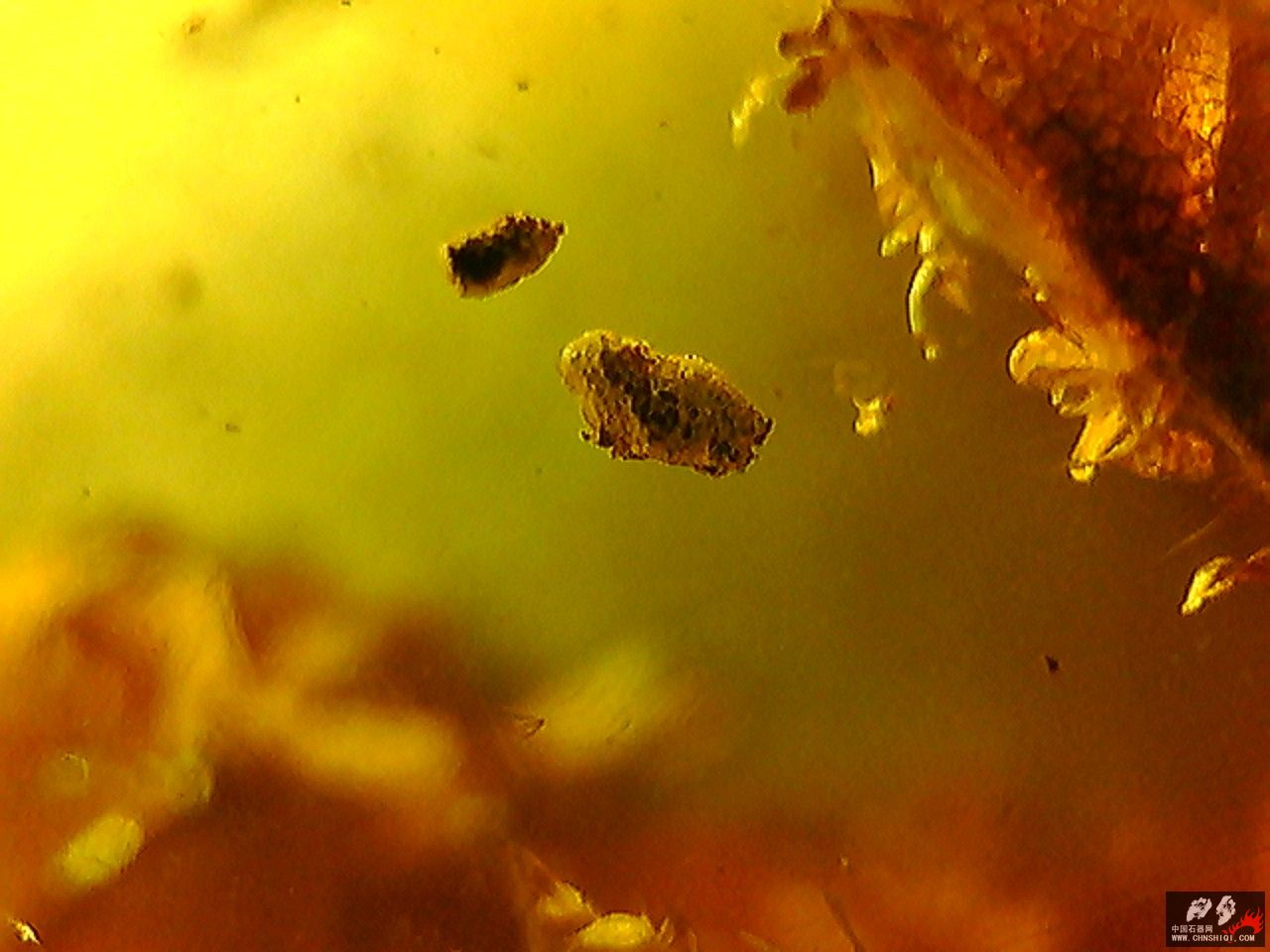 20101026003312.jpg