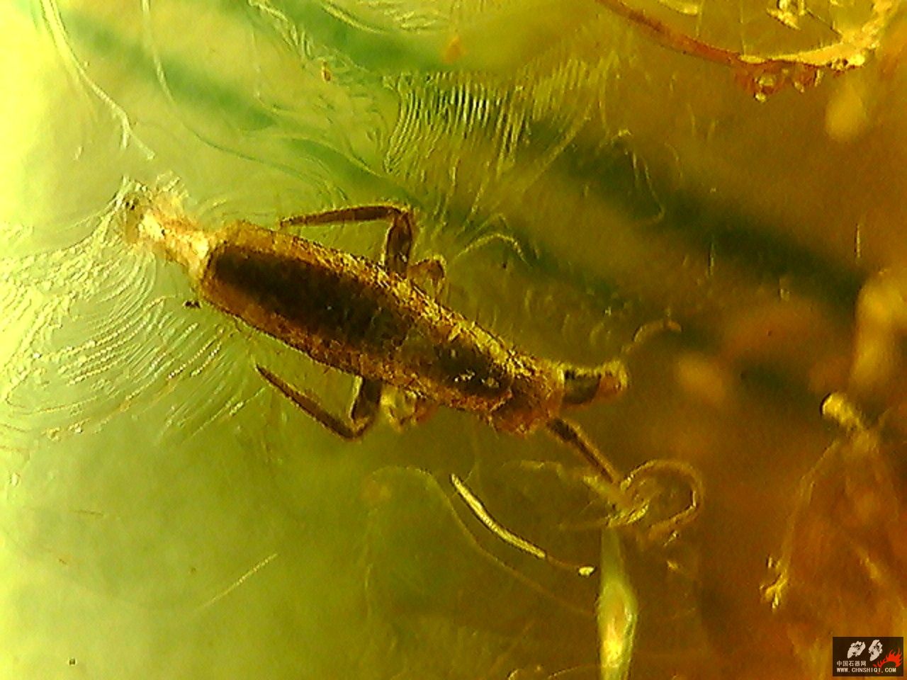 20101026001945.jpg