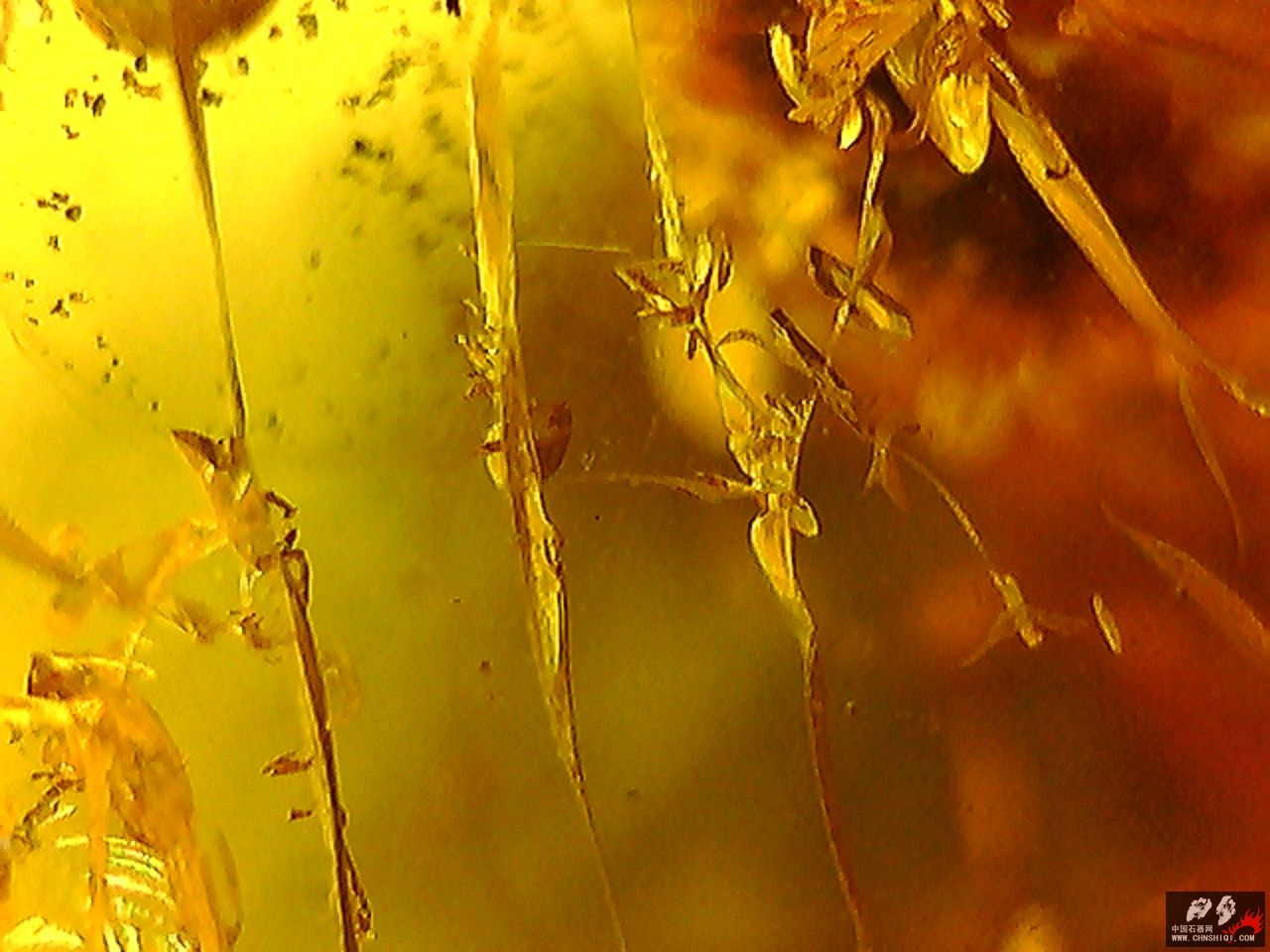 20101026003359.jpg
