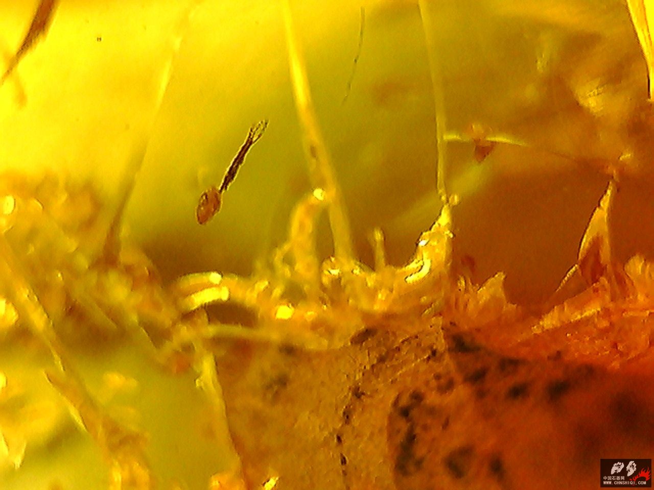 20101026003329.jpg