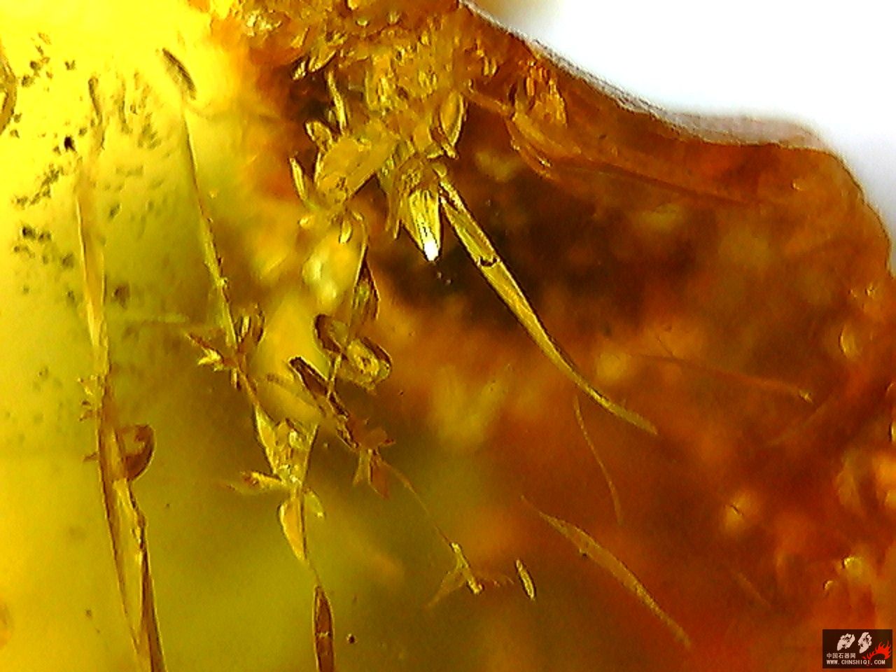 20101026003447.jpg