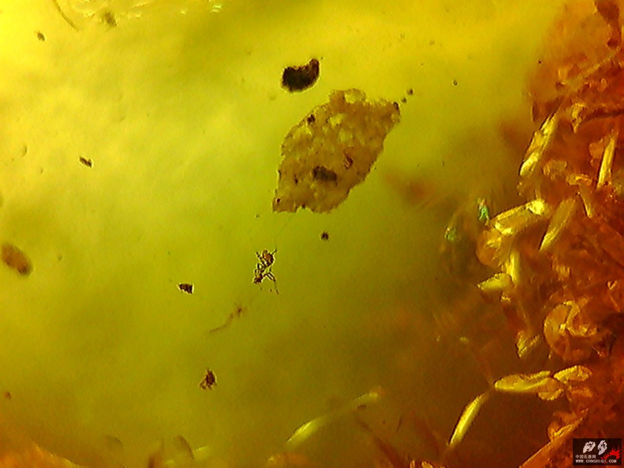 20101026004421.jpg
