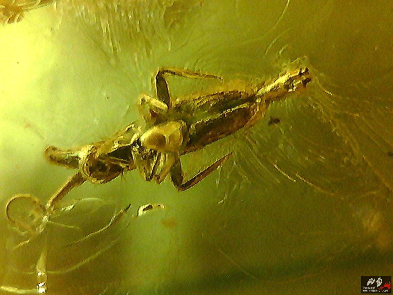 20101026003618.jpg