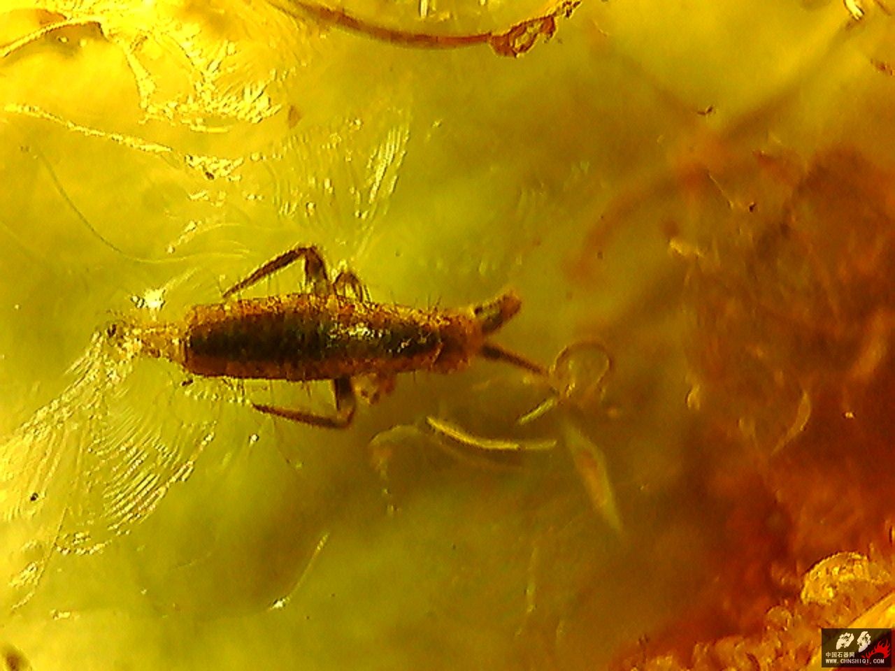 20101026004439.jpg