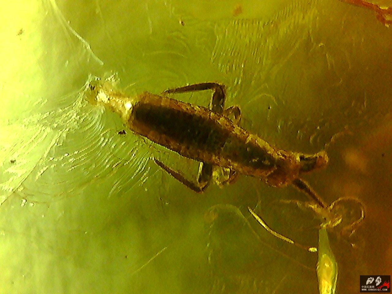20101026004718.jpg