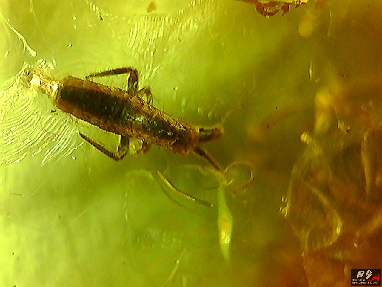 20101026004746.jpg