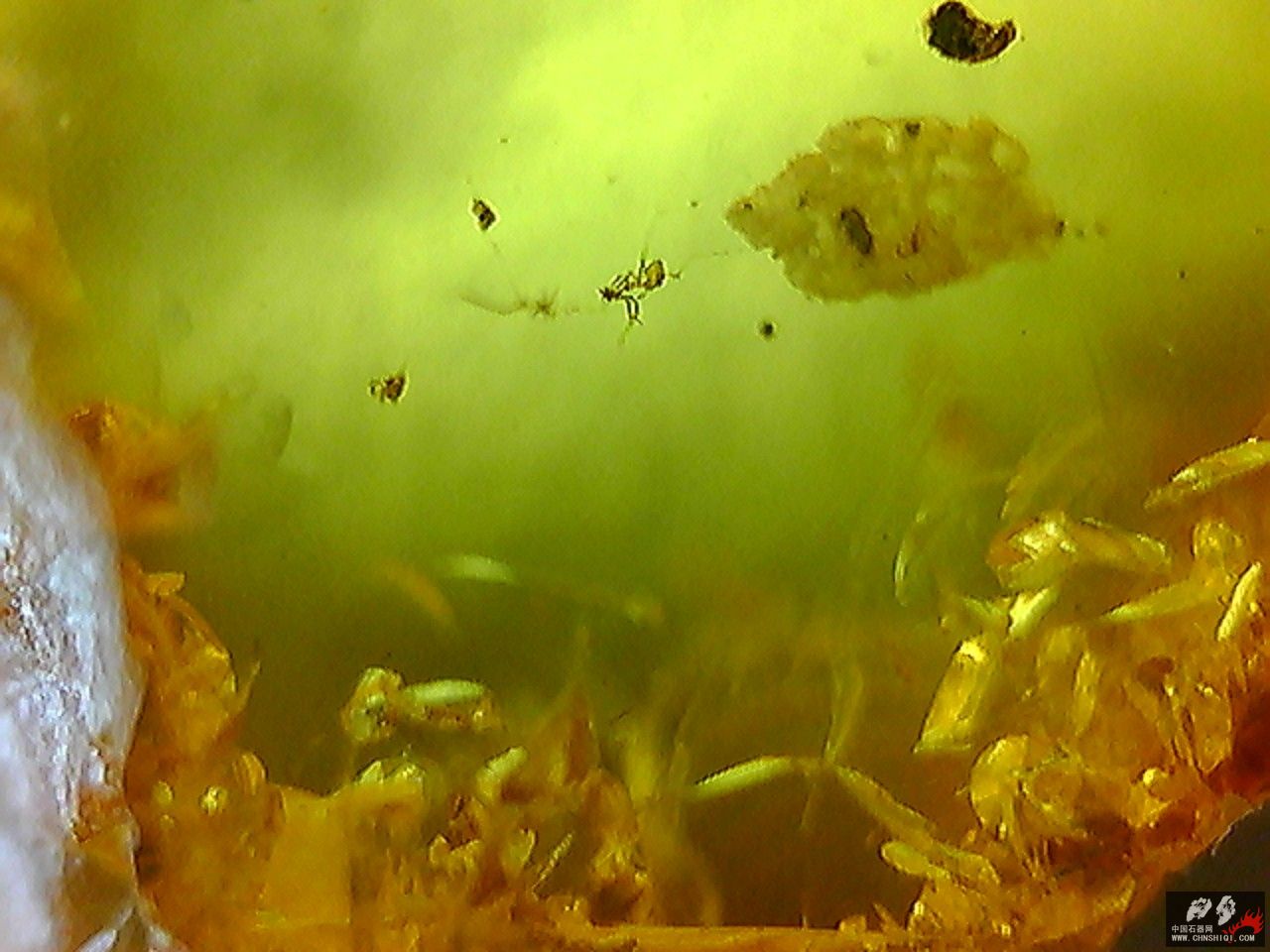 20101026004830.jpg