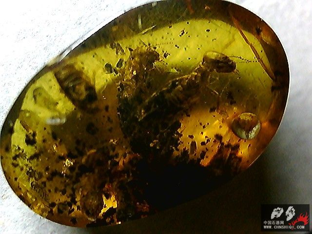 20101026014601.jpg