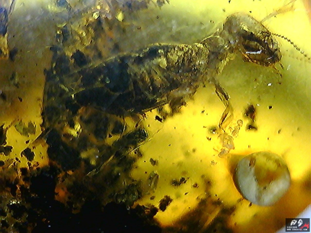 20101026011002.jpg