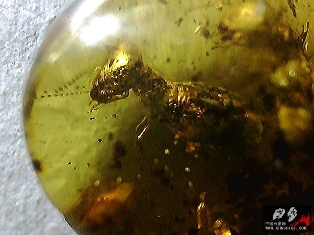 20101026011921.jpg