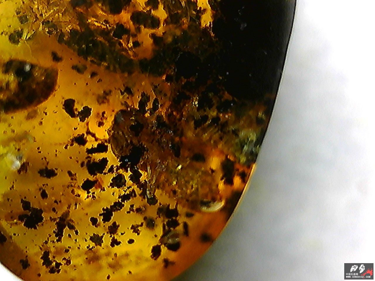 20101026011312.jpg