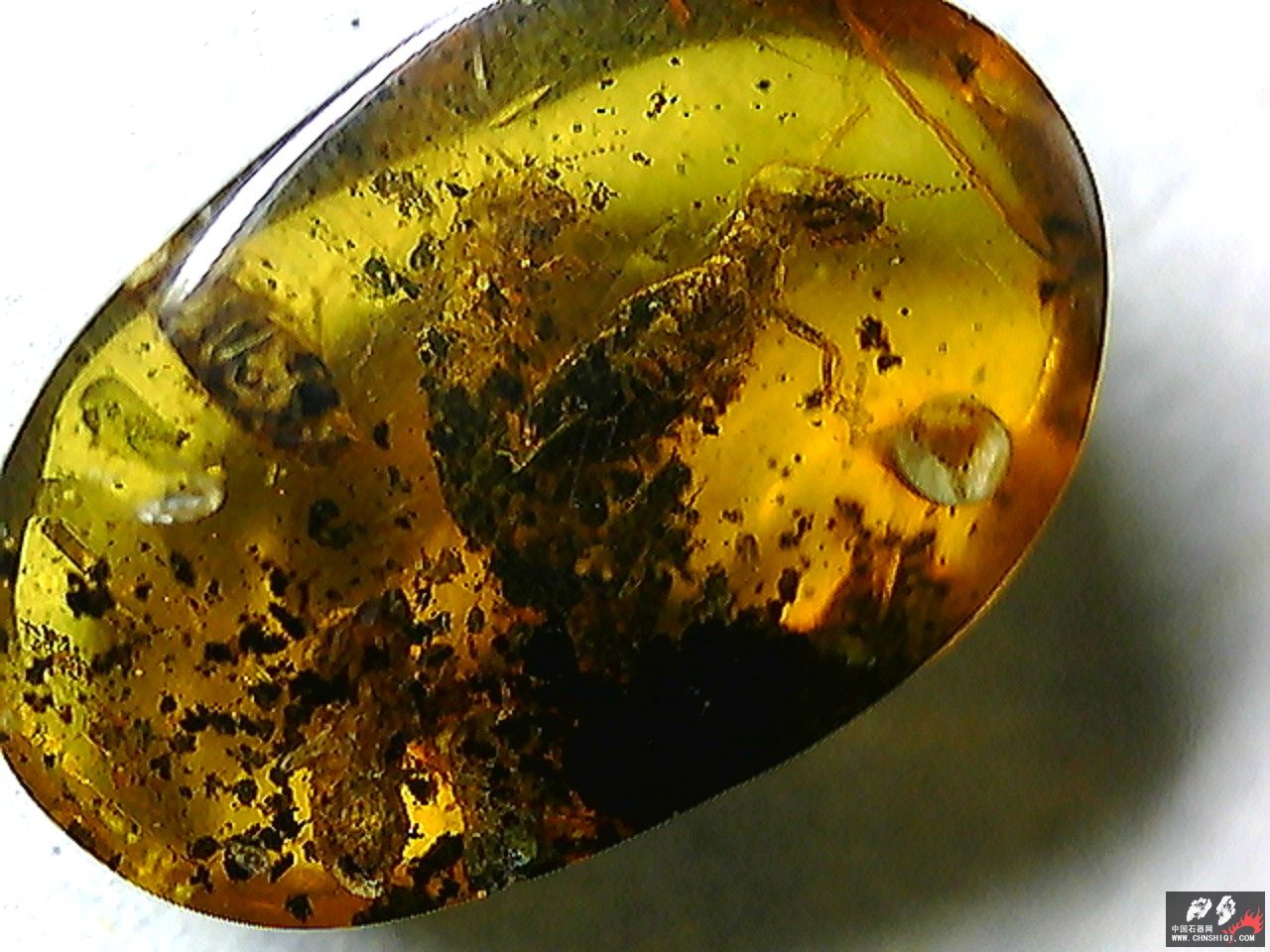 20101026012914.jpg
