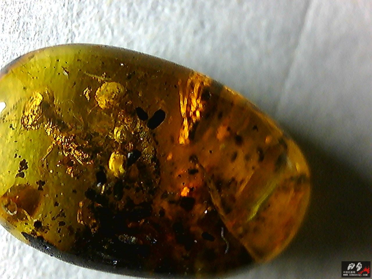 20101026012659.jpg