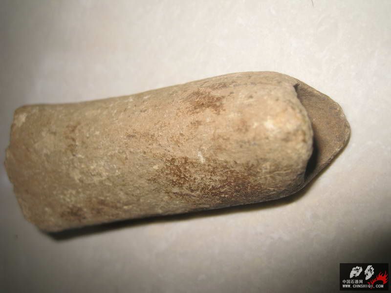 化石骨器 (6).JPG