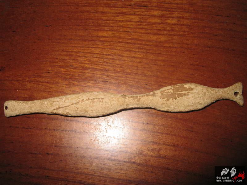 化石骨器 (15).JPG