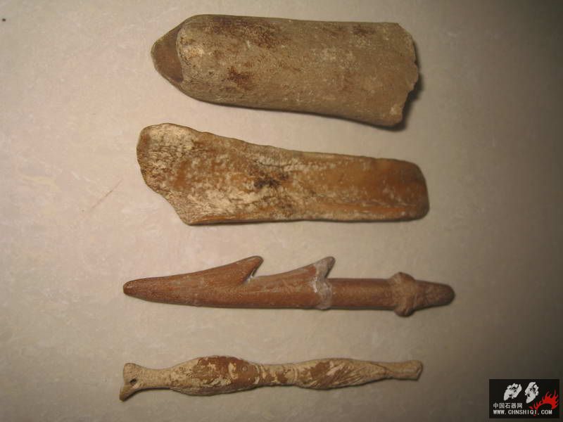化石骨器 (2).JPG
