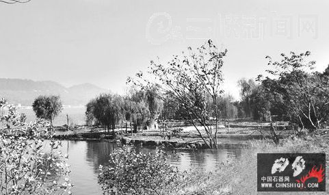 20101212050073319.jpg