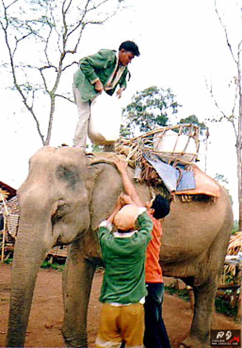 elephantloading2.jpg