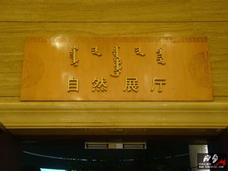 DSC04515.JPG