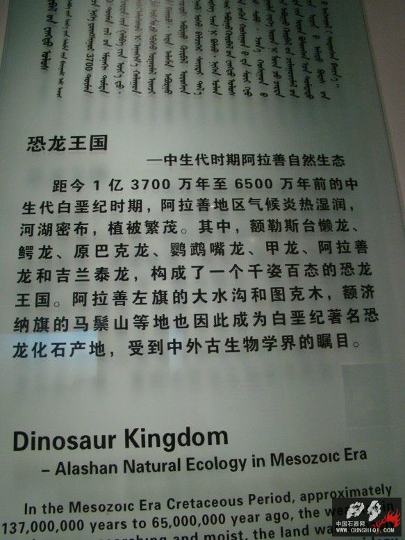 DSC04520.JPG