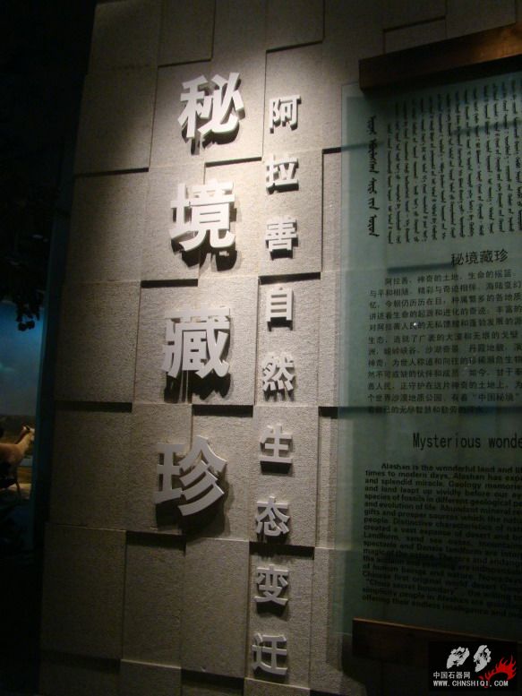 DSC04517.JPG