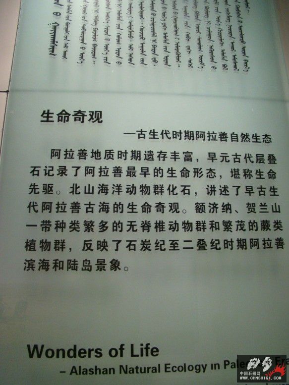 DSC04524.JPG