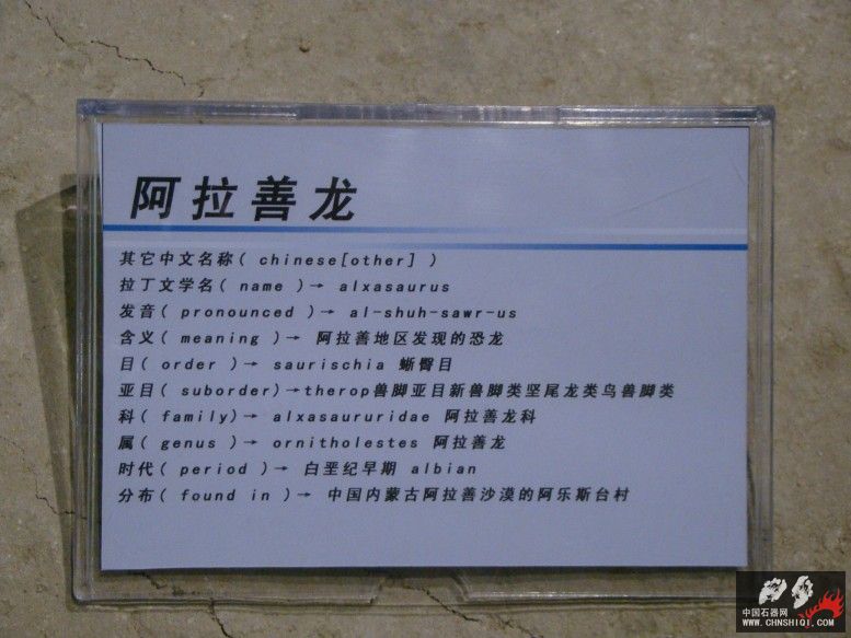 DSC04536.JPG