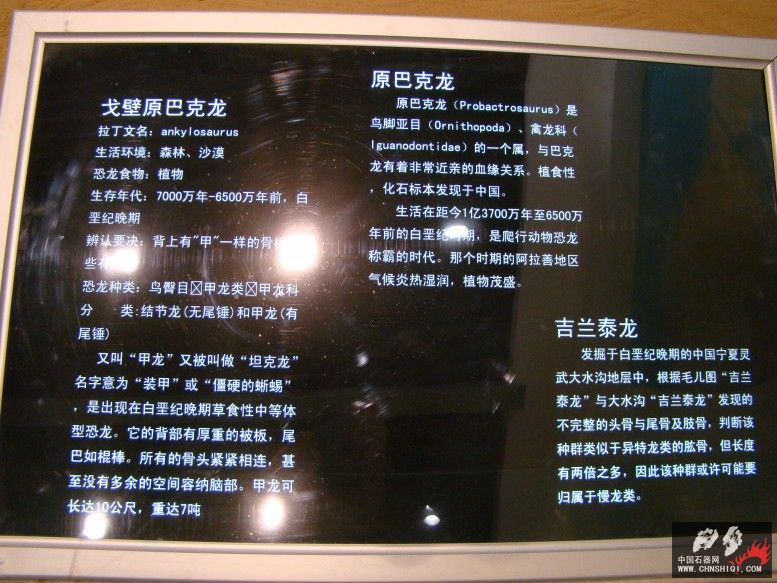 DSC04542.JPG