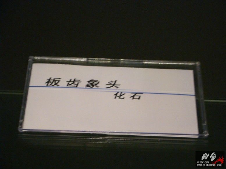 DSC04552.JPG