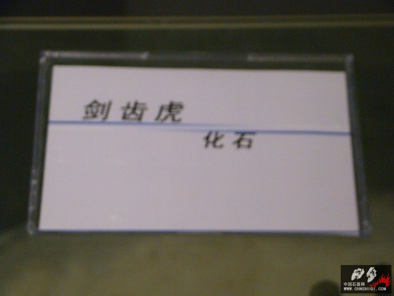 DSC04550.JPG