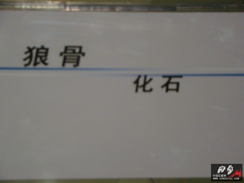 DSC04575.JPG