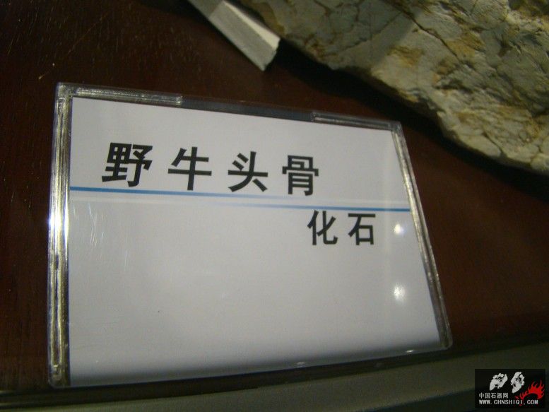 DSC04578.JPG