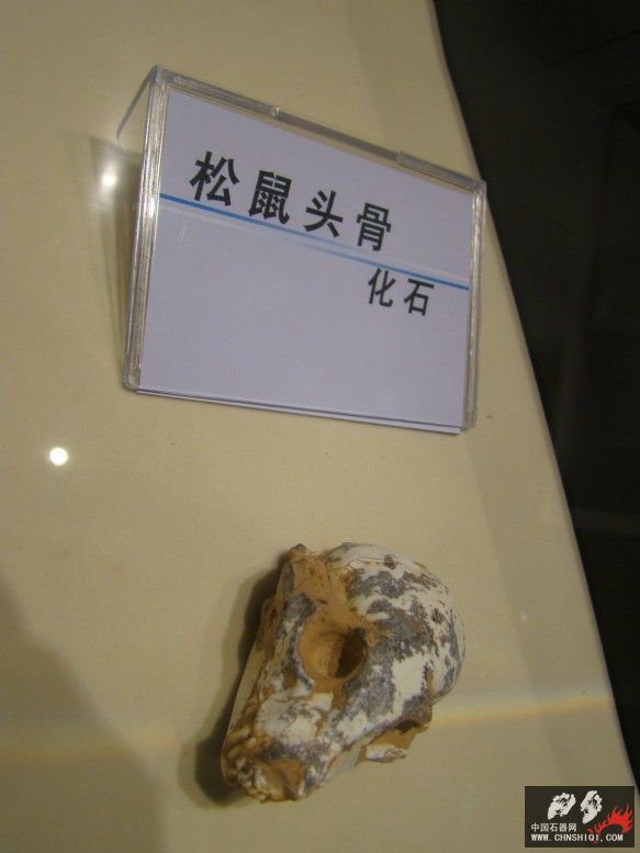 DSC04582.JPG