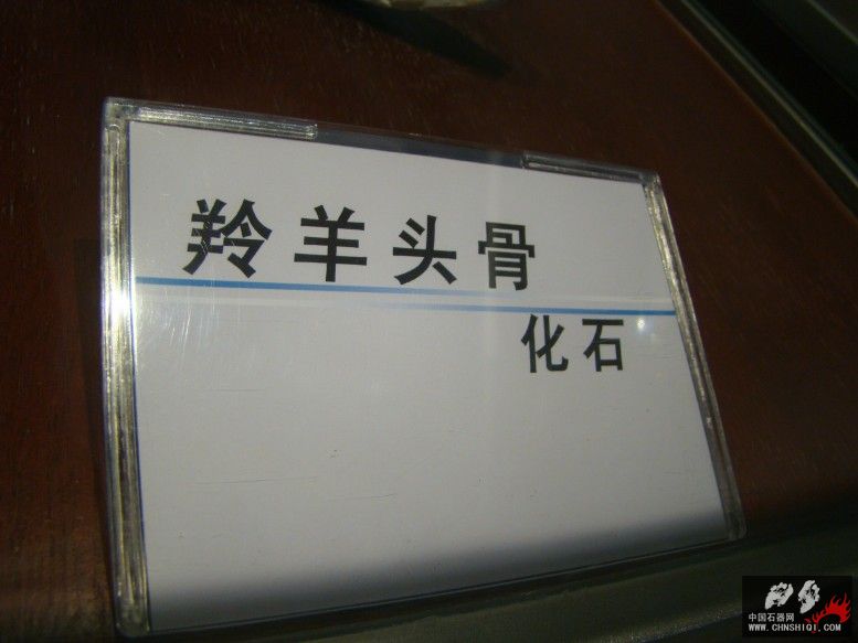 DSC04580.JPG