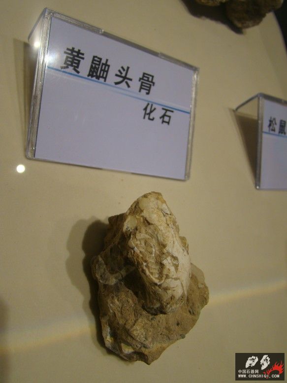 DSC04583.JPG