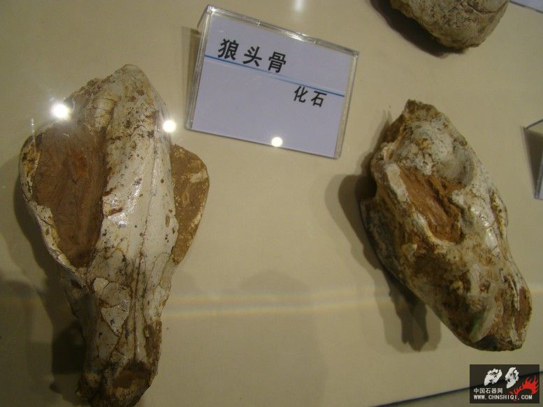 DSC04585.JPG