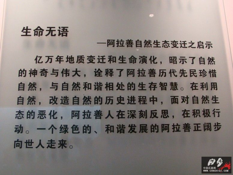 DSC04614.JPG