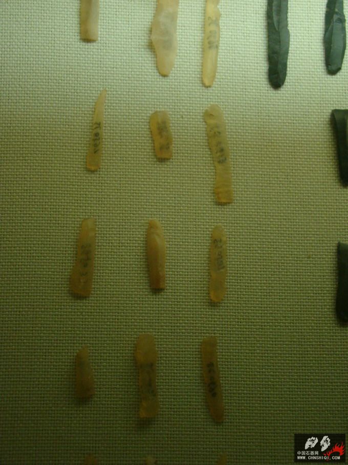 DSC04901.JPG